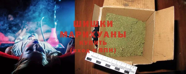 амф Гусь-Хрустальный