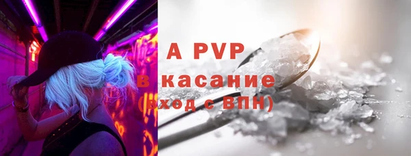 амф Гусь-Хрустальный