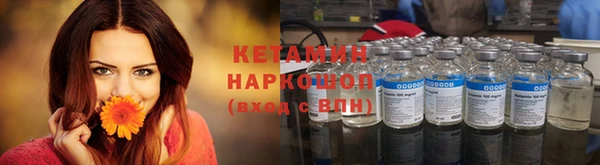 амф Гусь-Хрустальный