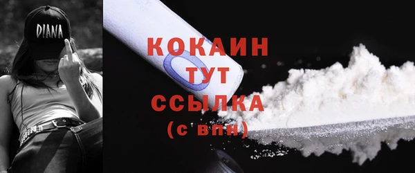 амф Гусь-Хрустальный