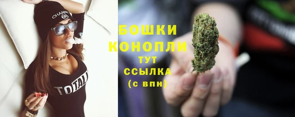 амф Гусь-Хрустальный