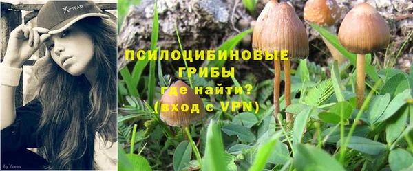 герыч Гусев
