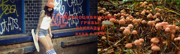 герыч Гусев