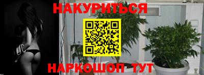 дмт Апшеронск