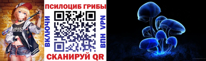дарк нет официальный сайт  цены   Нерюнгри  Псилоцибиновые грибы GOLDEN TEACHER 