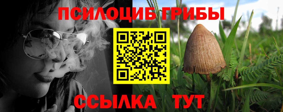 Галлюциногенные грибы мухоморы Нерюнгри