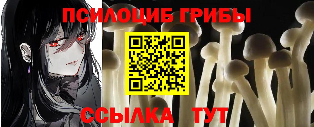 Галлюциногенные грибы ЛСД  Вход с VPN  Нерюнгри  Псилоцибиновые грибы мухоморы 